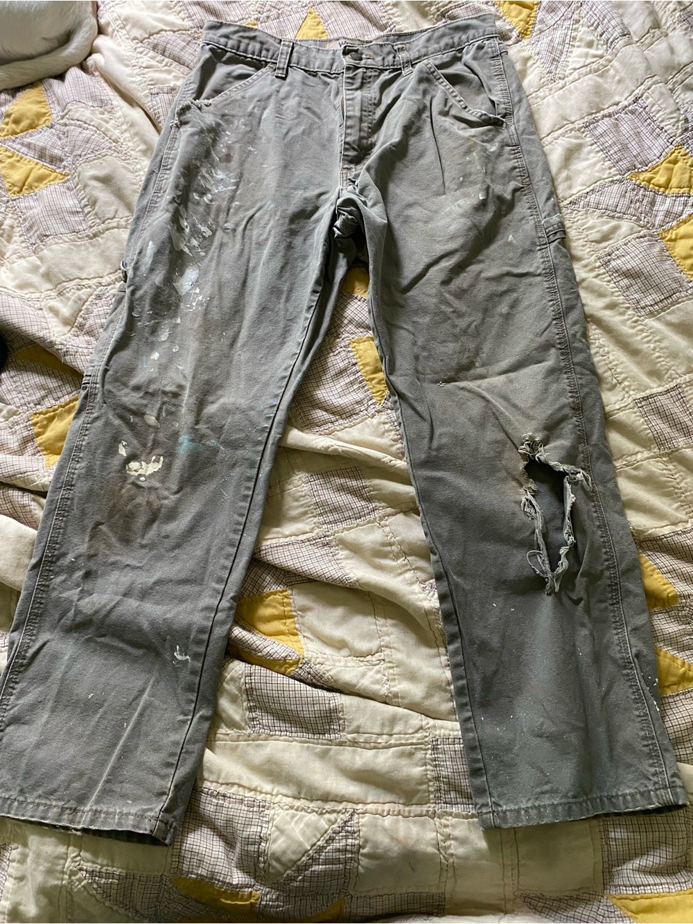 Distressed utility pants